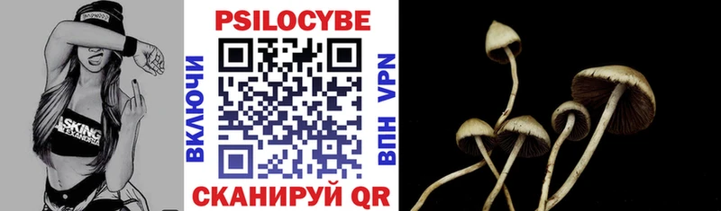 как найти закладки  Асино  Галлюциногенные грибы ЛСД 